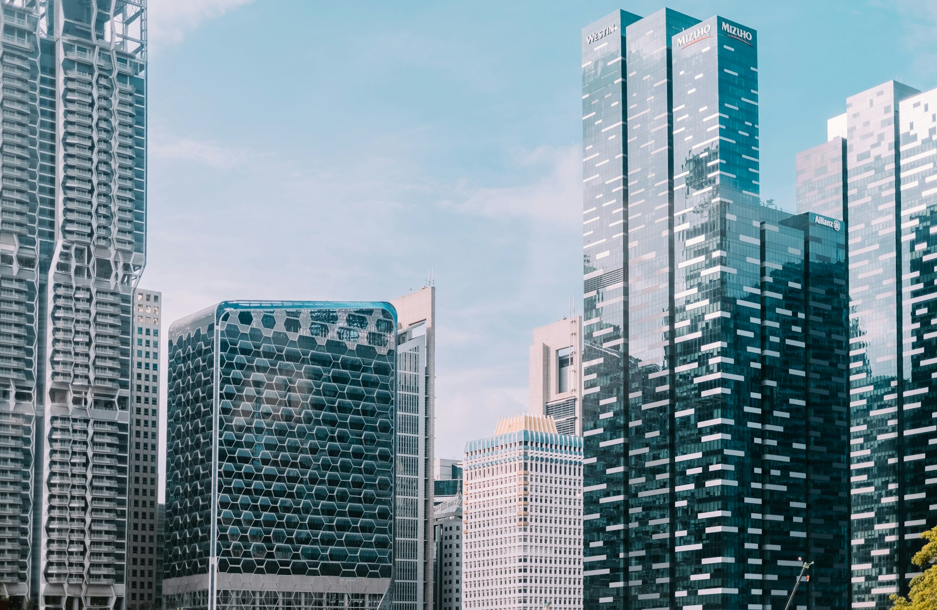 Business Growth and Market Insights